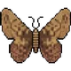 Crypto Moth