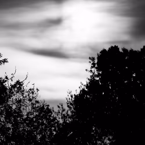 Deep Relections