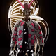INSALAND MEMBERS JACKET