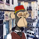 Bored Ape in Istanbul - old