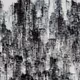Wang Meng  Yu Miao
