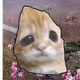 KibbleRock