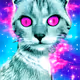 CosmiCats