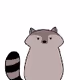 hey! raccoon
