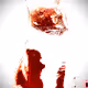 Deep Fried Cat NFT
