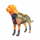 LowPoly Dogs