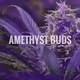 AMETHYST BUDS
