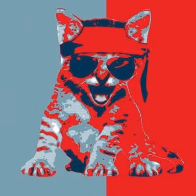 ROARING KITTY