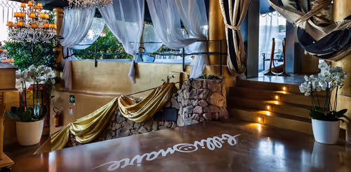 Billioniare first AI Pictures