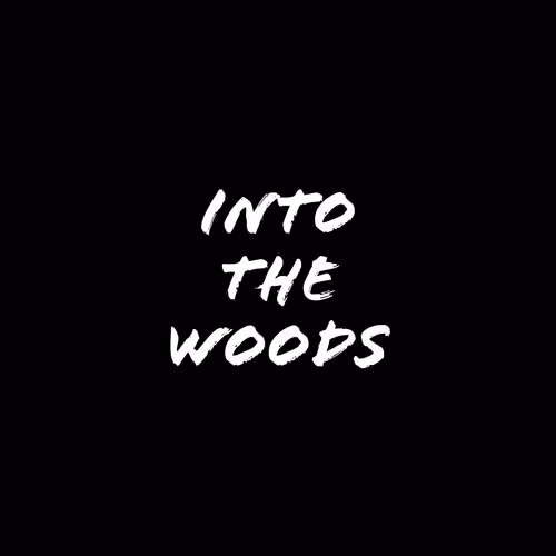 Into the woods V3