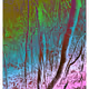 Trees Are These