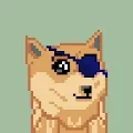 Crypto Dogey