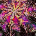 Deep Dream Fractal