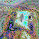 hawkward editions