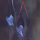 Cave scenes