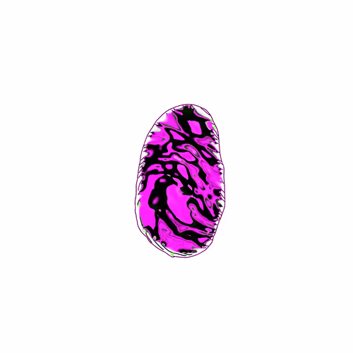 Digital Fingerprints NFT
