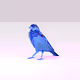 Poly Finches