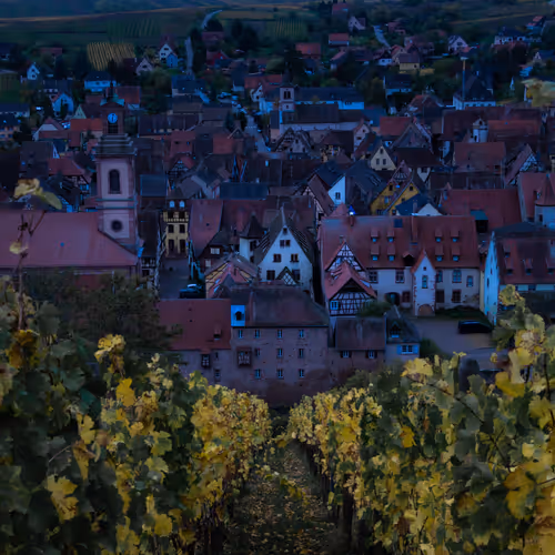 An Autumn in Alsace 2
