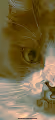 TRIPPY KITTIES