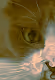 TRIPPY KITTIES