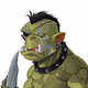The Orc Horde