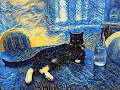 Pushkin the Starry Cat