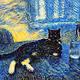 Pushkin the Starry Cat
