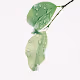 Leaves By Paul Mr.Dingo