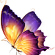 Twin Butterflies