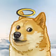 Doge Saikou!