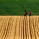 road to school - old