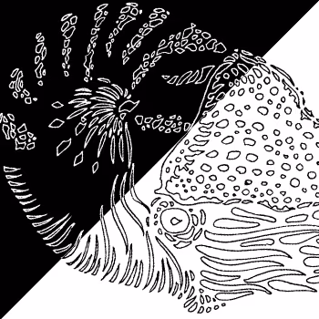 pattern zoo