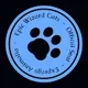 Epic Wizard Cat Familiars