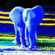 The Lonely Elephant - old