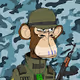 Bored Ape Soldier Club
