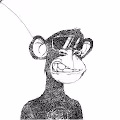Scrubby Ape Artwork #3025