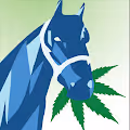 High Horse Ranch Winners Circle
