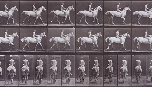 CHRONOPHOTOGRAPH by 0xDEAFBEEF