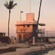 Joel Meyerowitz: Between The Dog And The Wolf