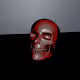 NFT-Skull-Art