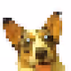 CryptoCorgo