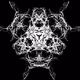 The Snowflake Collection