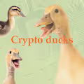 Cryptoducks ( limited collection of 10 items)