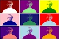 In the Style of Warhol - old