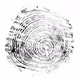 Transverse Rings