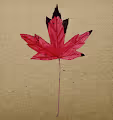 Let go Leaves