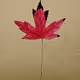 Let go Leaves