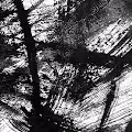 Dark Matter Images