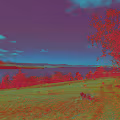 MUSE.surf