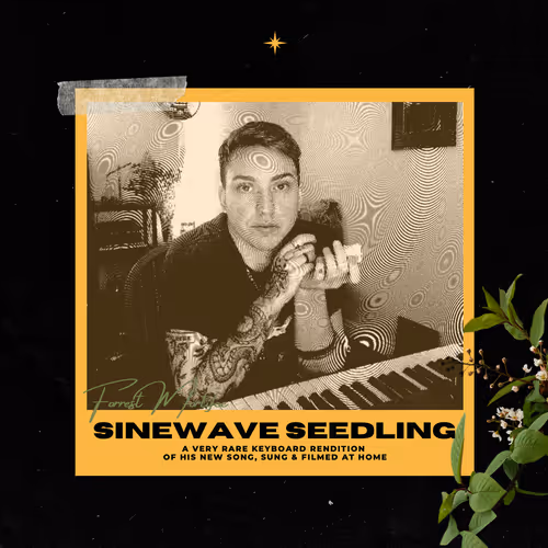 Sinewave Seedling [video demo]
